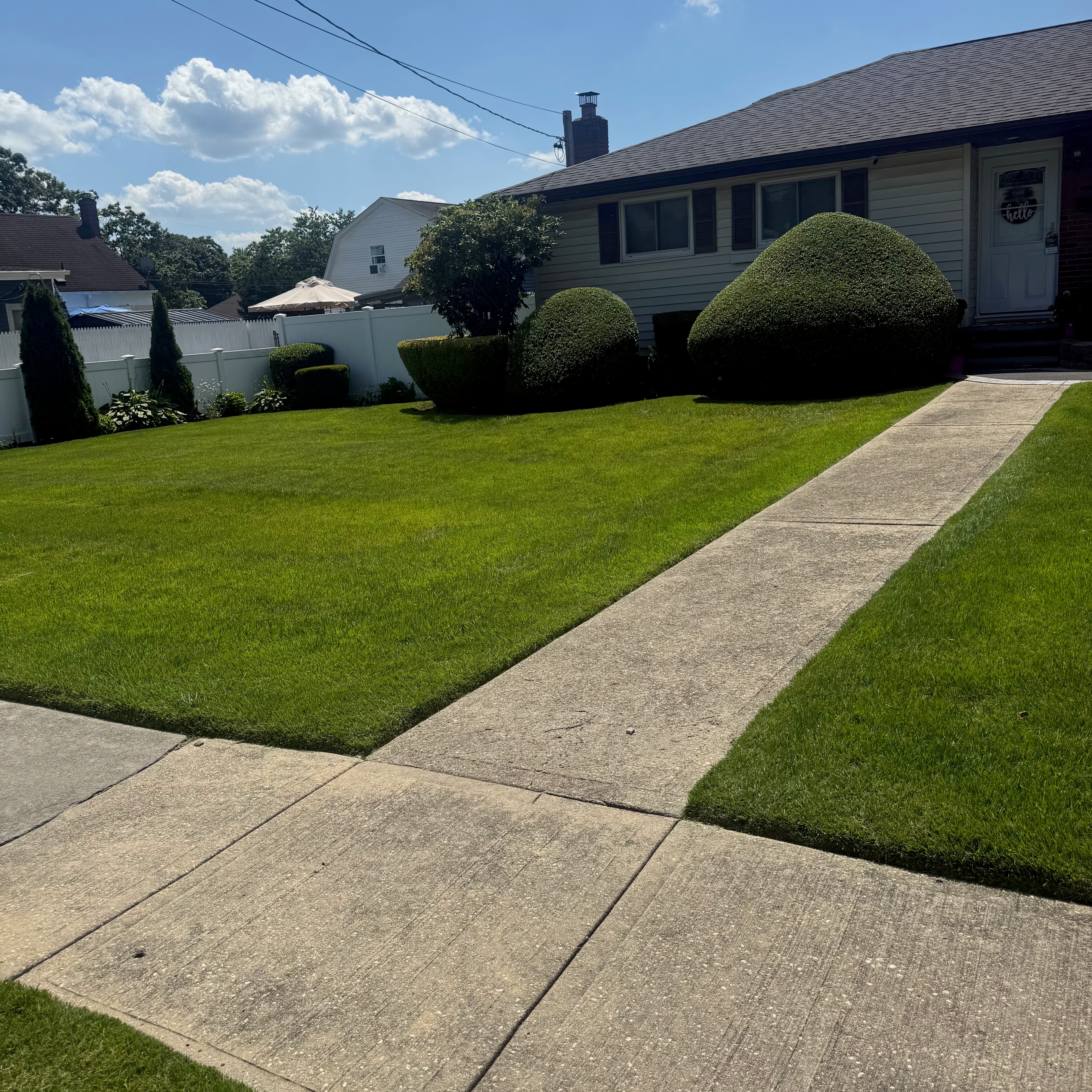 Freshly maintained front yard in Central Islip