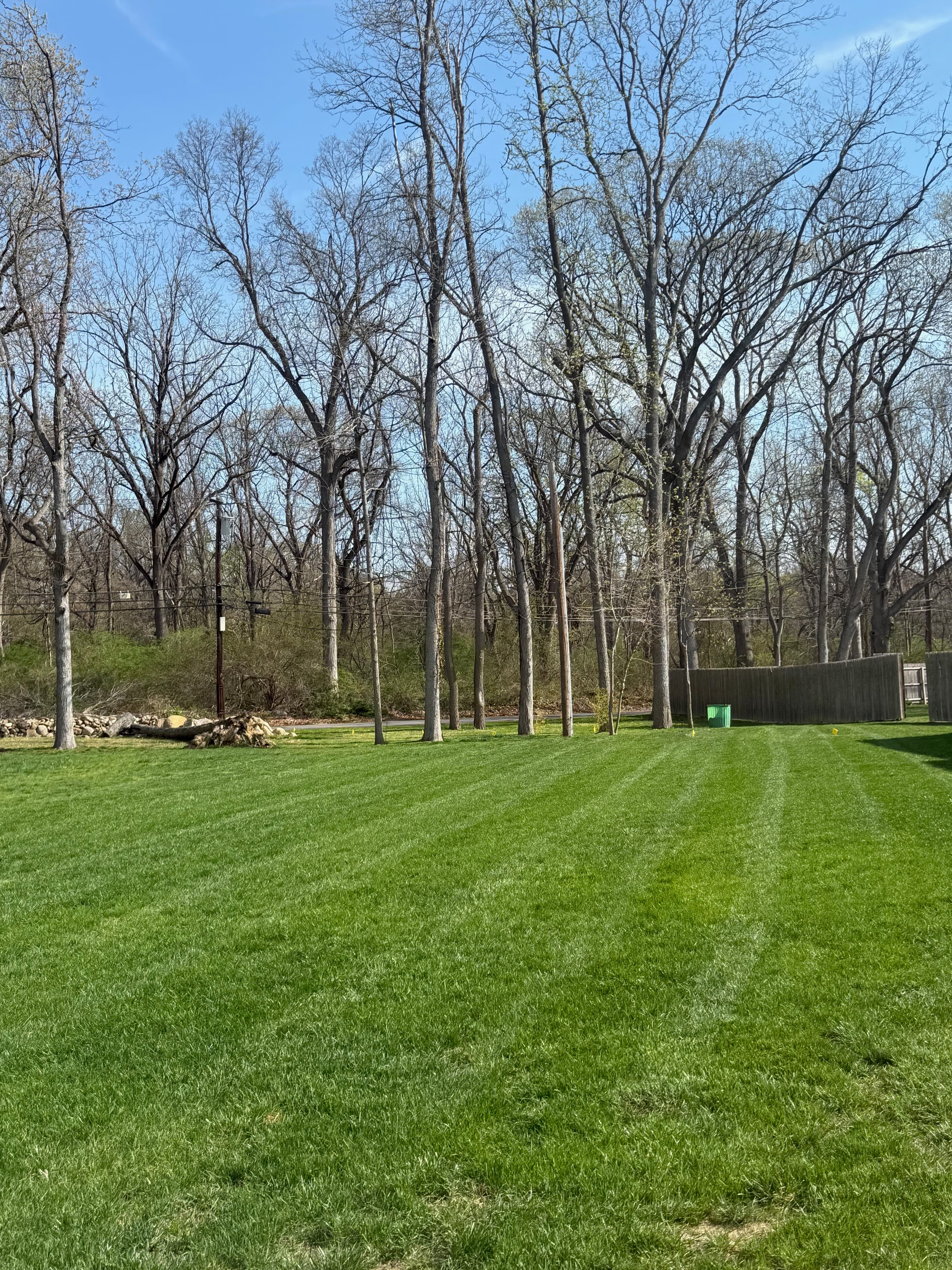 Perfectly striped mowed lawn