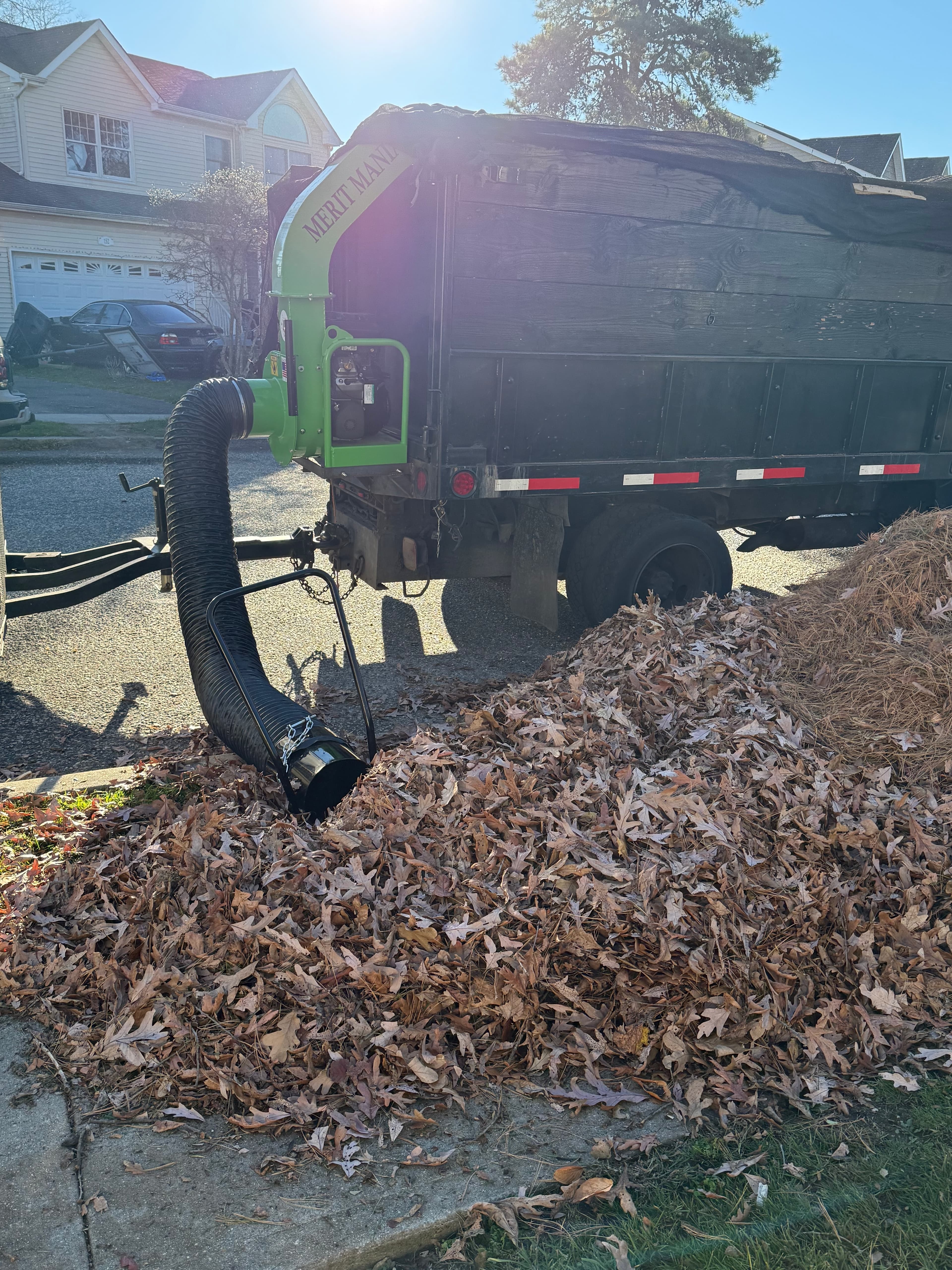 Fall leaf cleanup