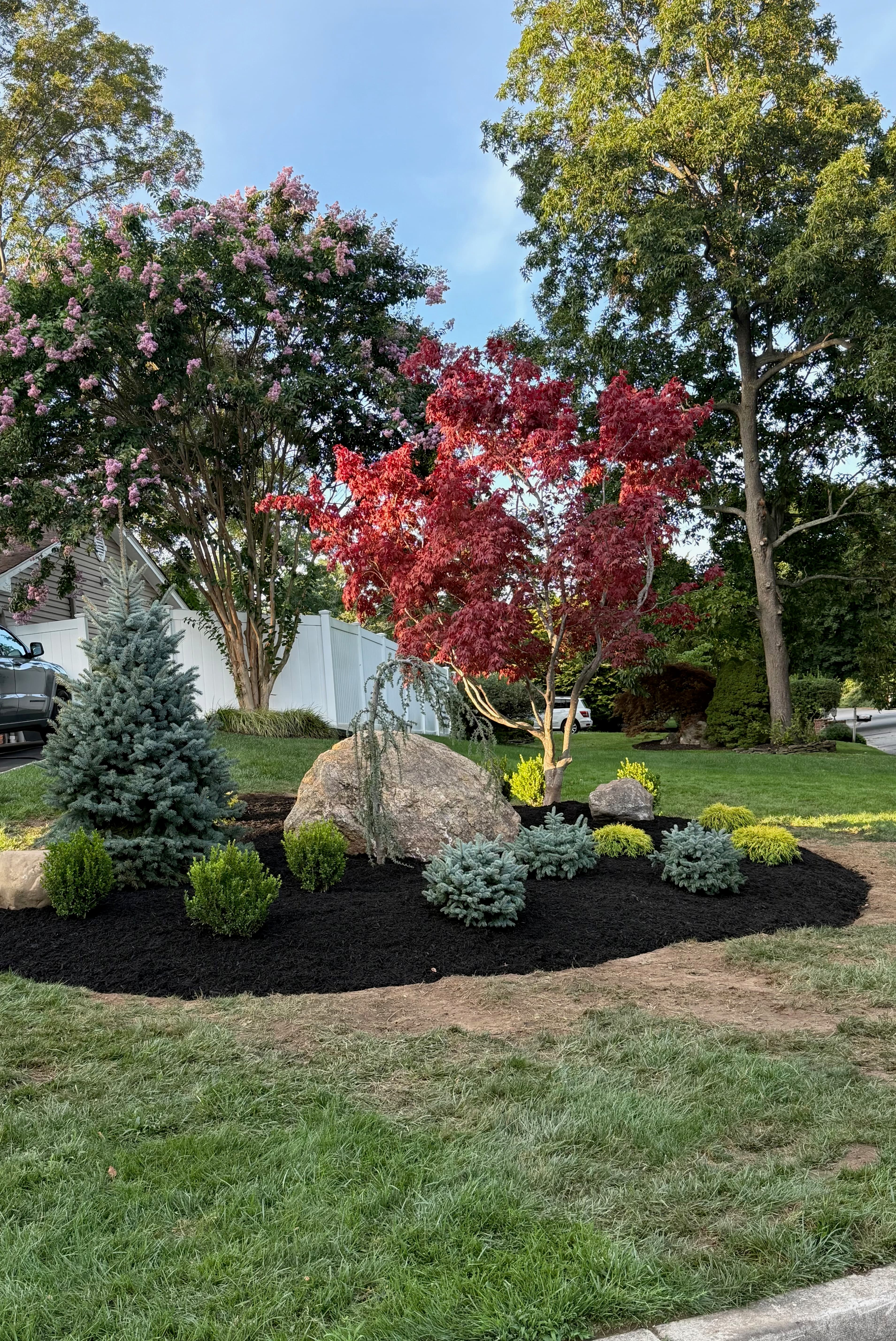 Landscaped bed with Japanese maple