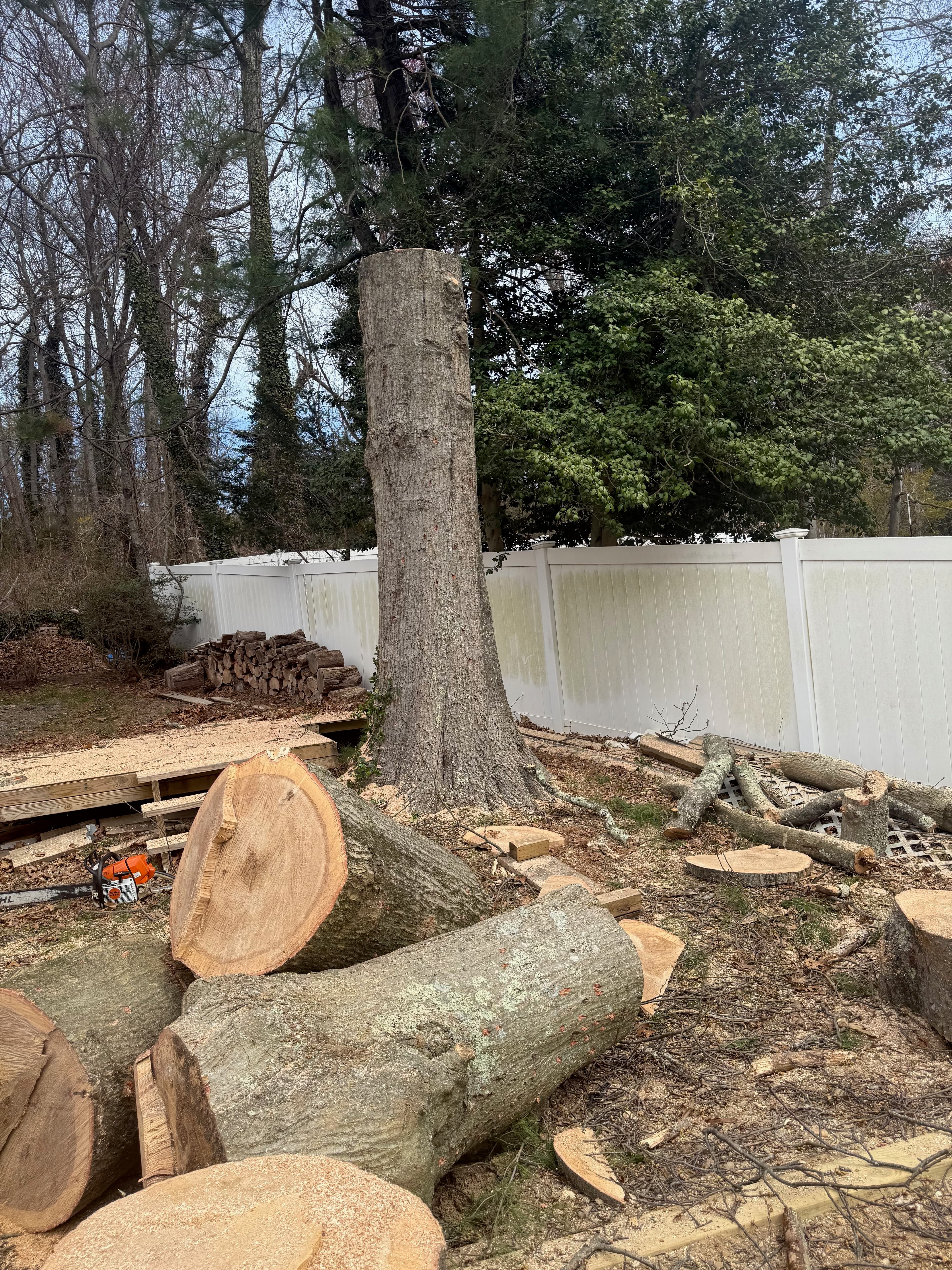 Tree removal with chainsaw and logs